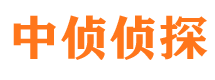 银川市私家侦探